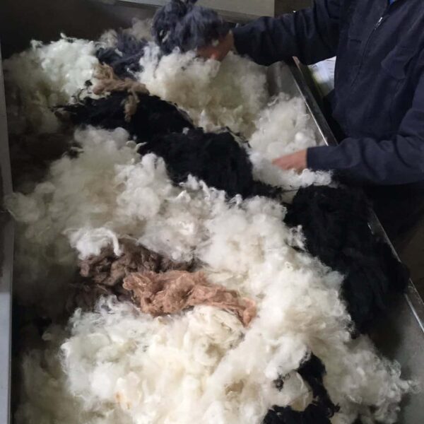 Nieuw zeelandse wol perletta carpets