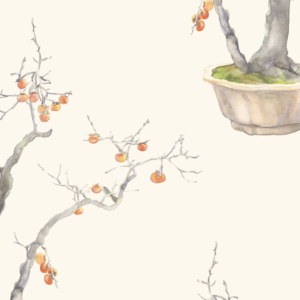 Cole and Son Kaki Persimmon SKU 126: 2003