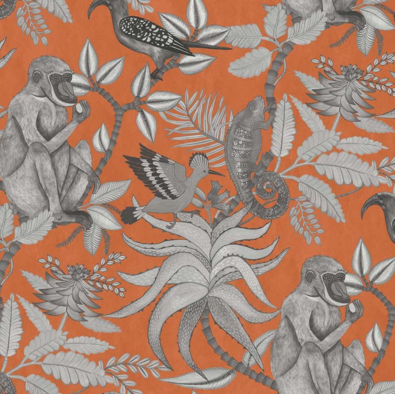 Illustratie van grijze apen, vogels en een kameleon te midden van tropische planten op een feloranje achtergrond.