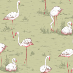 Illustratie van witte flamingo’s met roze accenten op een lichtgroene achtergrond met grasdetails.