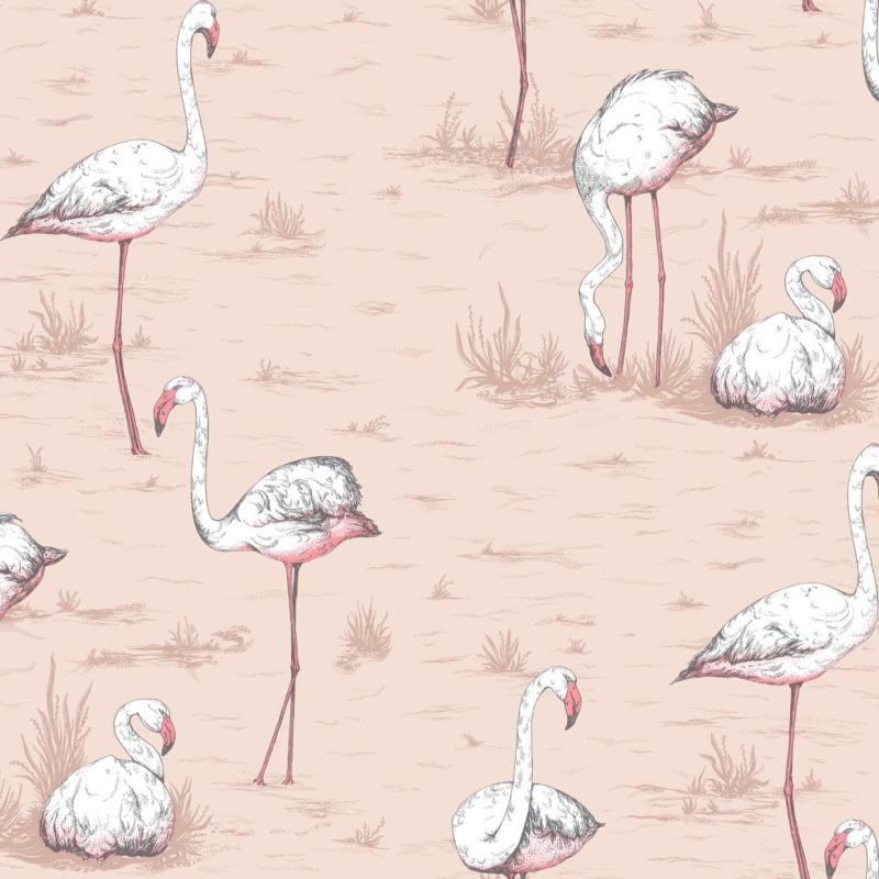 Illustratie van flamingo’s in verschillende poses op een lichtroze achtergrond met grasachtige details.