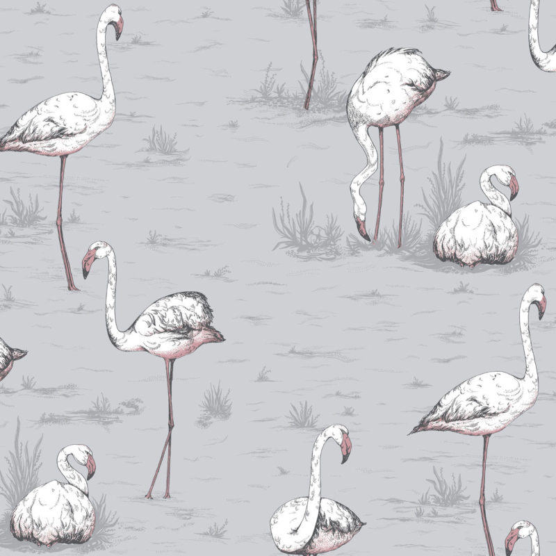 Illustratie van meerdere flamingo's in verschillende houdingen op een grijze achtergrond met grasachtige details.