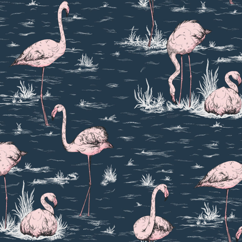 Illustratie van roze flamingo's in ondiep water met gras en donkerblauwe achtergrond.