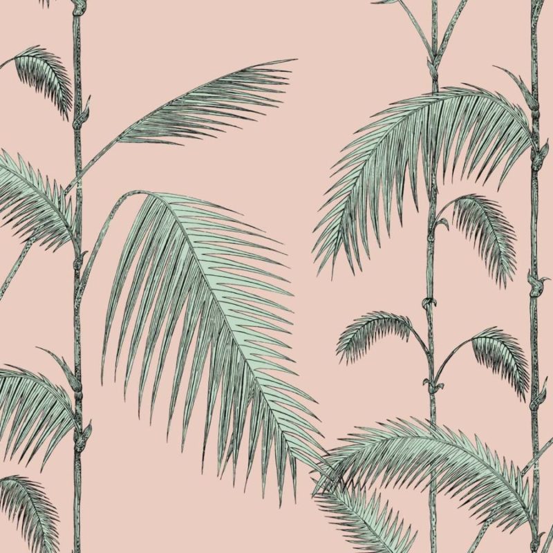 Illustratie van palmbladeren in groen op een lichtroze achtergrond.