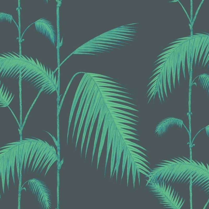 Illustratie van lichtgroene palmbladeren op een donkerblauwe achtergrond.