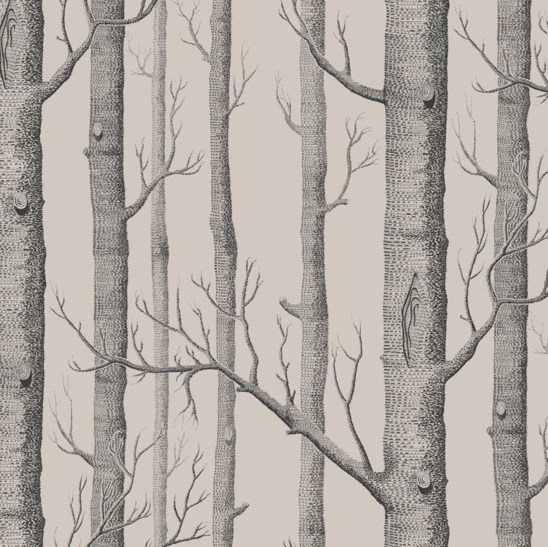 Illustratie van een bos met kale boomstammen en takken in zwart-wit tegen een lichte achtergrond.