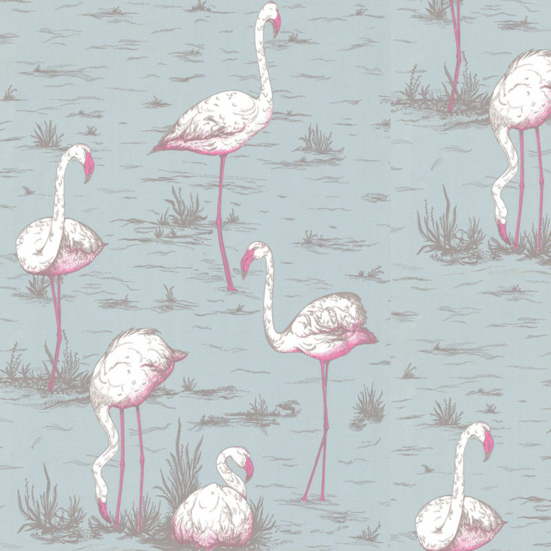 Illustratie van meerdere flamingo’s in een moeraslandschap op lichtblauwe achtergrond.