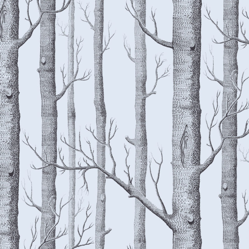 Illustratie van een bos met kale boomstammen en takken tegen een lichtgrijze achtergrond.