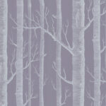 Illustratie van witte, kale boomstammen en takken tegen een grijs-paarse achtergrond.