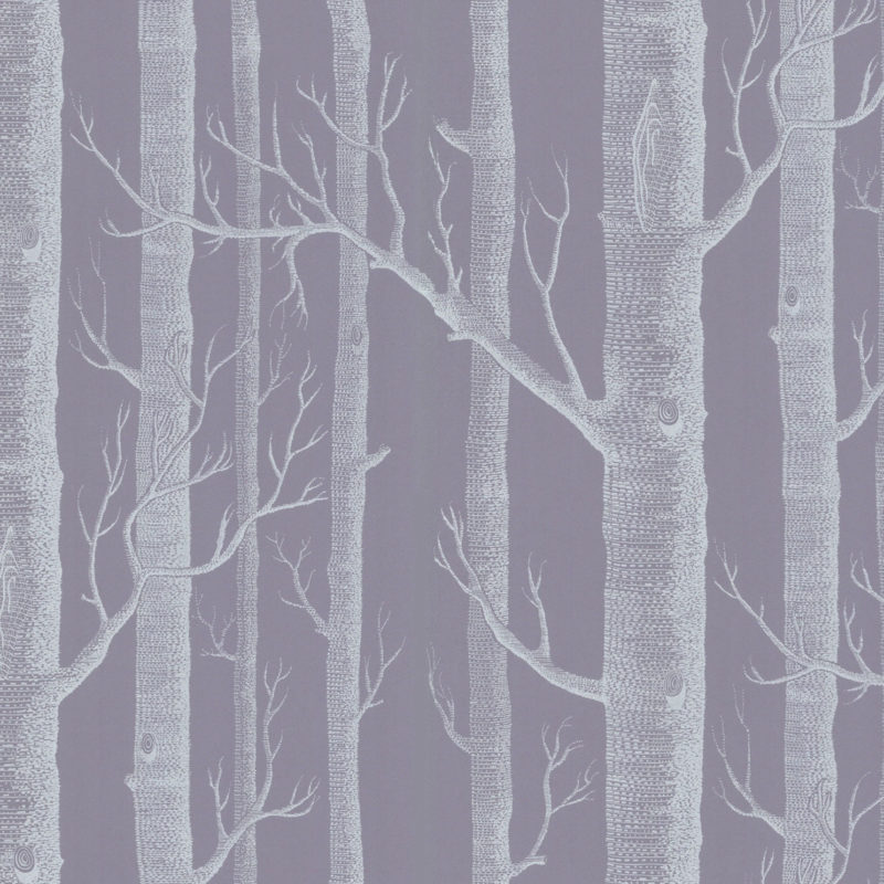 Illustratie van witte, kale boomstammen en takken tegen een grijs-paarse achtergrond.