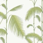 Illustratie van groene palmbladeren op een lichte achtergrond als botanisch behangpatroon.