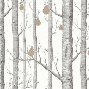 Illustratie van kale bomen met bruingekleurde peren die tussen de takken hangen.