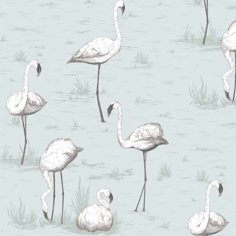 Illustratie van witte flamingo's in ondiep water met subtiele grassprieten op een lichtblauwe achtergrond.