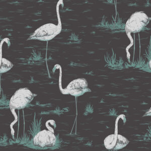 Illustratie van witte flamingo's in ondiep water met gras op een donkergrijze achtergrond.