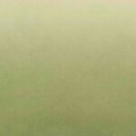Groen behang met een subtiele, zachte kleurovergang uit de Arte Joy Zenitude collectie (JOY81).