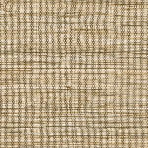 Beige behang met een geweven textuur uit de Arte Pampas Sombra collectie.