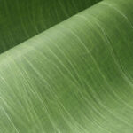 Detailopname van het groene textielpatroon Arte Pyxis 38015 met fijne, golvende lijnen.