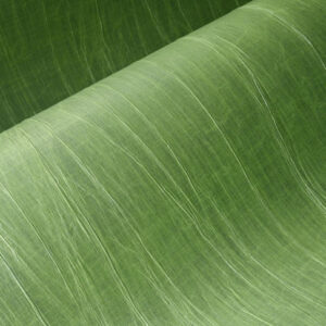 Detailopname van het groene textielpatroon Arte Pyxis 38015 met fijne, golvende lijnen.