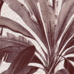 Gedetailleerde illustratie van tropische palmbladeren op het Arte behang Essentials Travellers Dessin Palmera 11141.