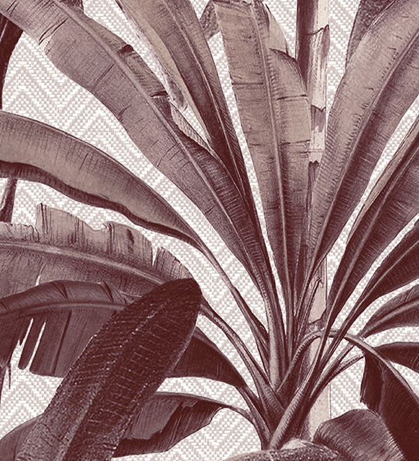 Gedetailleerde illustratie van tropische palmbladeren op het Arte behang Essentials Travellers Dessin Palmera 11141.