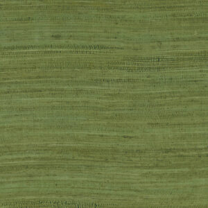 Groen Arte-behang uit de Expedition Tasar-collectie met een horizontale, zijdeachtige textuur.