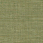 Groen Arte behang uit de Tierra Unito-collectie met een geweven textuureffect.
