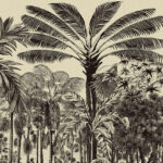 Gedetailleerde tekening van een tropisch oerwoud met palmbomen uit het Arte-behang Valle de Viñales.