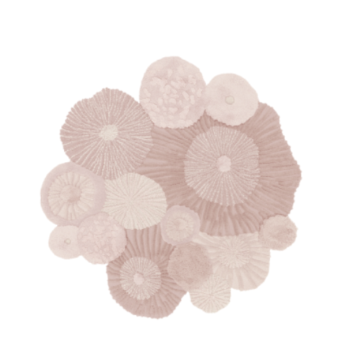 Rond vloerkleed in zachte blush tinten met organische bloemachtige vormen en texturen.
