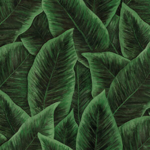 Donkergroen tropisch behang met een patroon van grote bladeren uit de Artebehang Bird of Paradise-collectie.