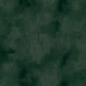 Donkergroen behang met een abstracte, wolkerige textuur uit de Buningh Elitis Ortigia Agrigente collectie.