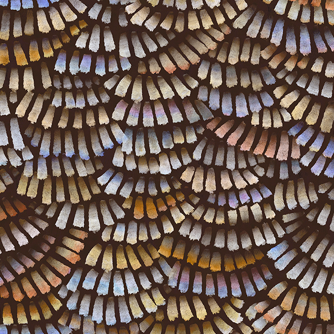 Decoratief patroon van de Arte Moooi Dandelion Cranes MO4021 wandbekleding met kleurrijke, waaiervormige penseelstreken op een donkere achtergrond.