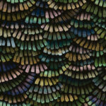 Abstract patroon van overlappende waaiervormige penseelstreken in donkere, groene en paarse tinten uit de Arte Moooi Dandelion Cranes MO4022 collectie.