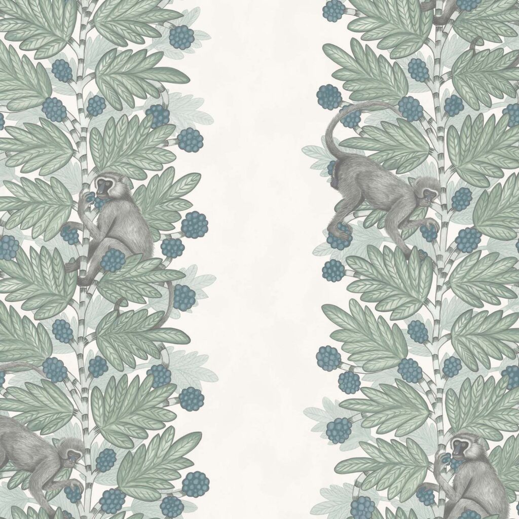 Illustratie van grijze apen die tussen acaciabladeren en donkerblauwe bessen klimmen, gebaseerd op het Cole and Son Ardmore Acacia 109/11052 behangontwerp.