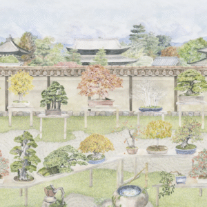 Illustratie van een Japanse bonsaituin met diverse bonsaiboompjes op tafels tegen een tempelmuur.