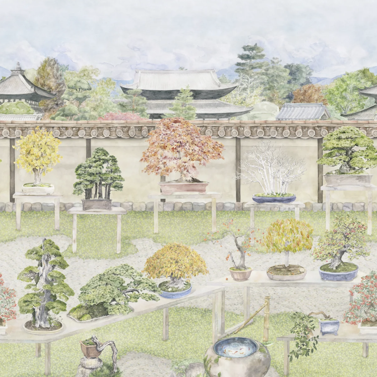 Illustratie van een Japanse bonsaituin met diverse bonsaiboompjes op tafels tegen een tempelmuur.