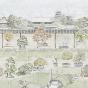 Illustratie van een serene Japanse bonsaituin met diverse bonsaiboompjes op verhoogde tafels en traditionele architectuur op de achtergrond.