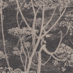Behang met een botanisch patroon van fluitenkruid in beige op een donkerblauwe achtergrond, uit de Cole and Son Cow Parsley collectie.