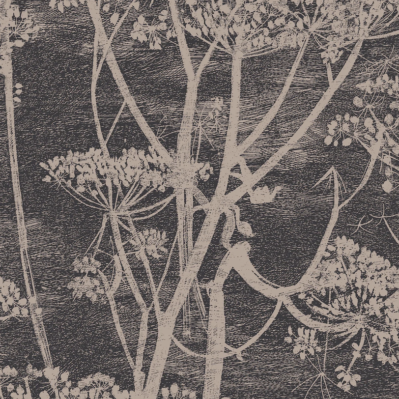 Behang met een botanisch patroon van fluitenkruid in beige op een donkerblauwe achtergrond, uit de Cole and Son Cow Parsley collectie.