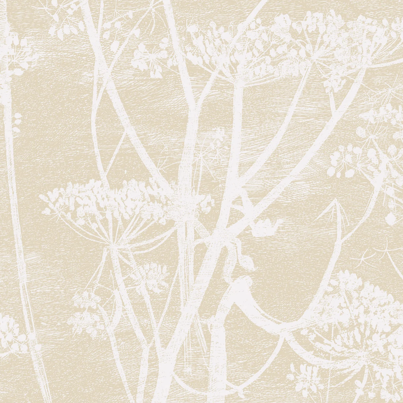 Beige behang met een wit silhouetpatroon van fluitenkruid uit de Cow Parsley collectie van Cole and Son.