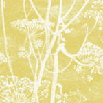 Behang met een geelgroene achtergrond en wit silhouetpatroon van fluitenkruid, uit de Cole and Son Cow Parsley collectie.