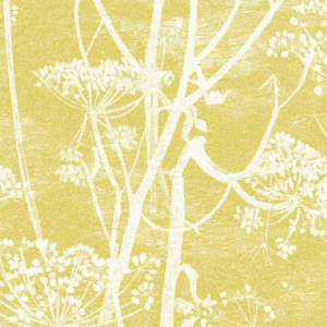Behang met een geelgroene achtergrond en wit silhouetpatroon van fluitenkruid, uit de Cole and Son Cow Parsley collectie.