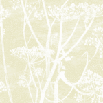 Lichtgeel behang met een wit silhouetpatroon van fluitenkruid uit de Cole and Son Cow Parsley collectie.