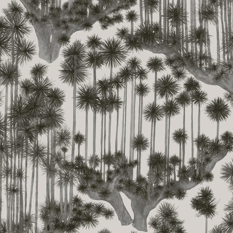 Zwart-wit patroon van hoge Japanse bomen met waaiervormige bladeren, uit het Cole and Son Japanese Woods behangontwerp.