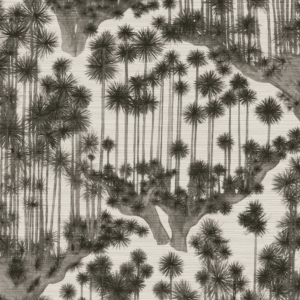 Zwart-witte illustratie van slanke bomen met waaierachtige bladeren in Japanse stijl op grasscloth-behang van Cole and Son.