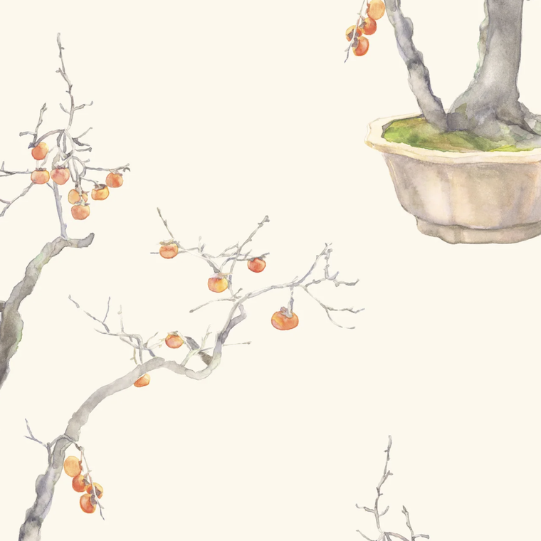 Illustratie van kaki-persimmon takken met oranje vruchten tegen een lichte achtergrond.