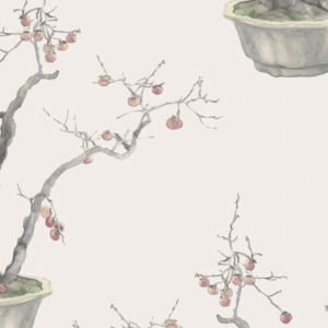 Illustratie van kaki-persimmon bonsaiboompjes met rijpe vruchten in potten op een lichte achtergrond.