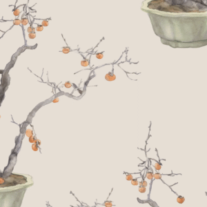 Illustratie van kaki-persimmon bonsaiboompjes met oranje vruchten in potten op een beige achtergrond.