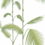 Illustratie van groene palmbladeren op een witte achtergrond uit het behangontwerp Cole and Son Palm Leaves 95/1009.