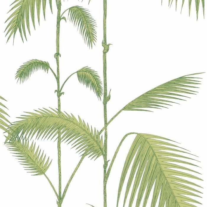 Illustratie van groene palmbladeren op een witte achtergrond uit het behangontwerp Cole and Son Palm Leaves 95/1009.