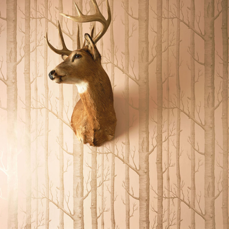 Een hertenkop aan de muur met daarachter het behang 'Whimsical Woods' van Cole and Son.